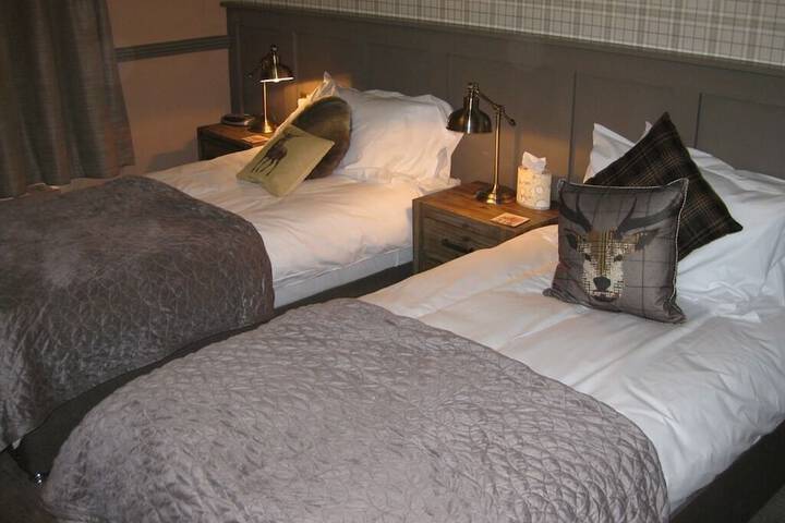 Room 3 of 54