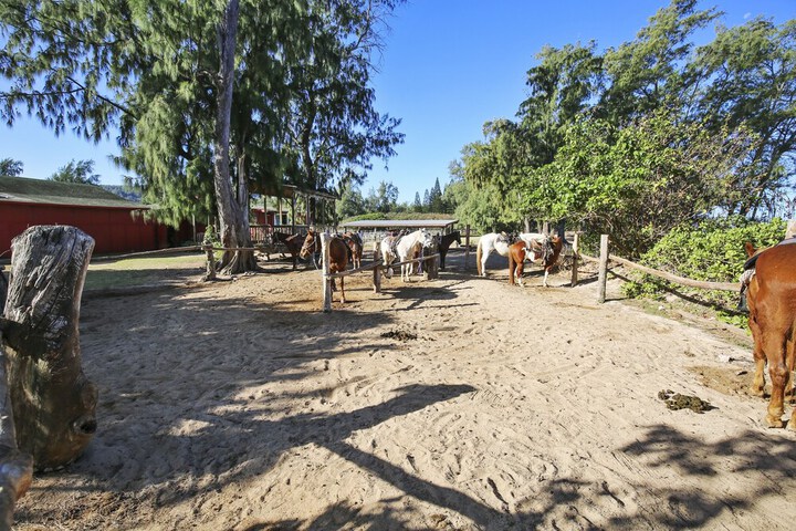 Property Grounds 29 of 34