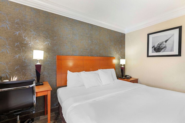 1 King Bed Table and Chairs Refrigerator, Continental Breakfast (12 of 14)