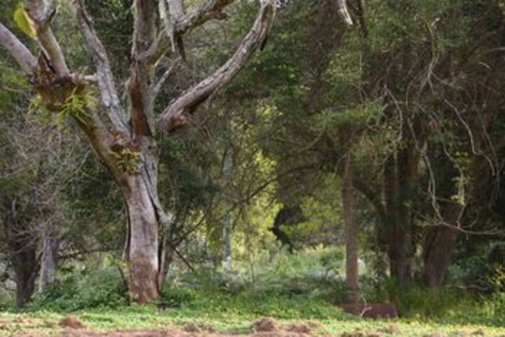 Property Grounds 58 of 63