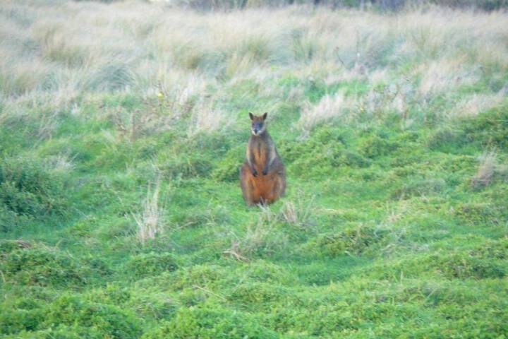 Property Grounds 19 of 29