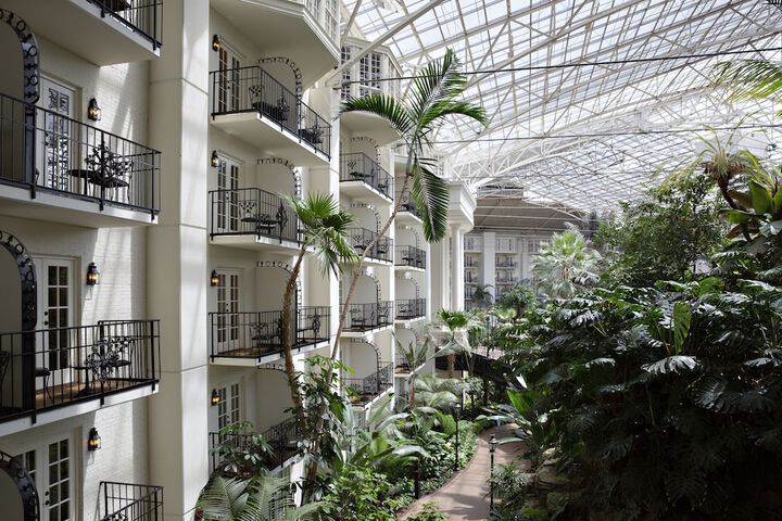 Garden view