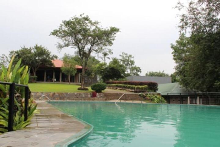 Pool 4 of 5