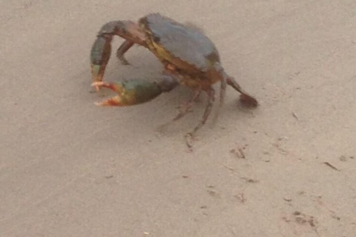 Beach 112 of 117