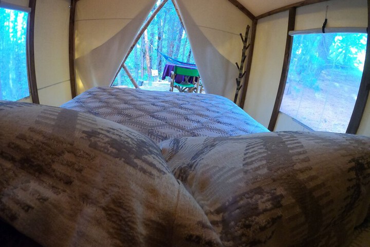 Room 11 of 37