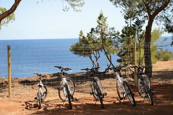 Bicycling