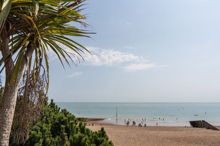 Beach 224 of 256