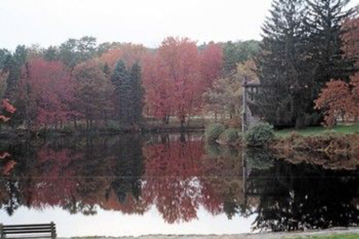 Spa and Wellness Pictures