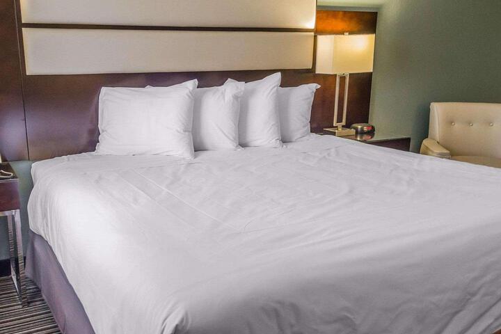 1 King Bed (7 of 9)