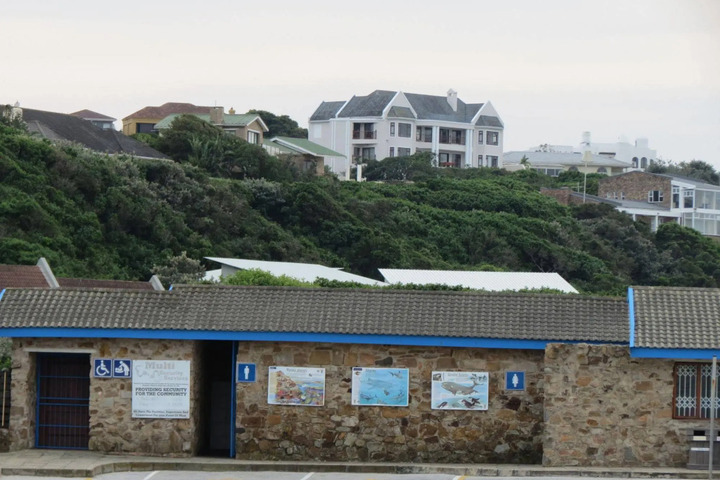 1 MILKWOOD