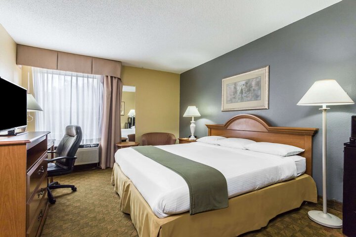 1 King Bed (4 of 8)