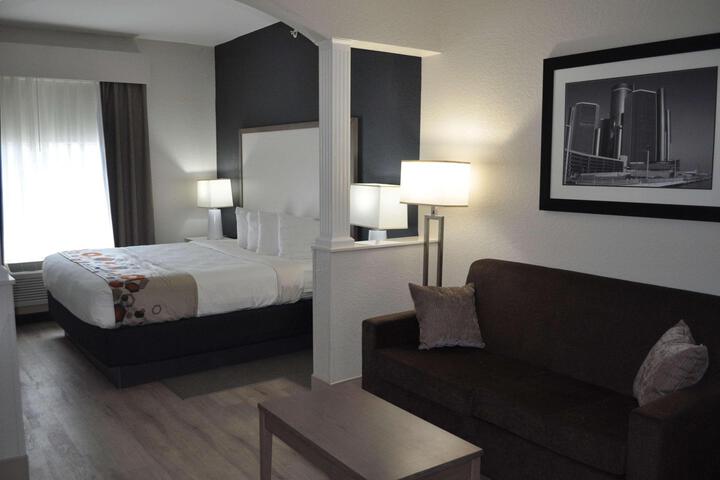 1 King Bed High Speed Internet Accessible Sofa Bed Microwave, Refrigerator Full Breakfas (9 of 17)