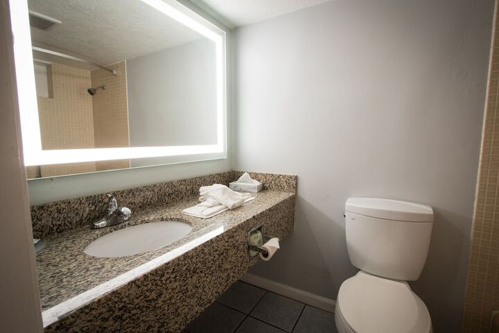 1 King Bed Pet Friendly Accessible (36 of 90)