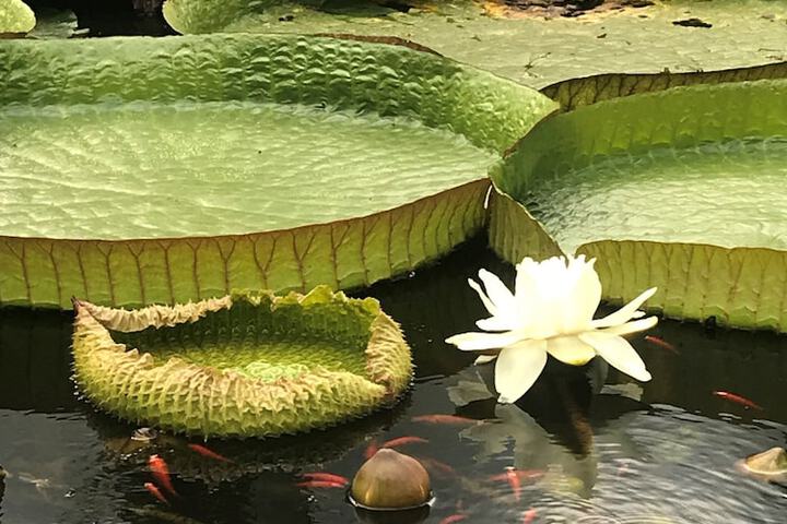 Outdoor Activities 24 of 27