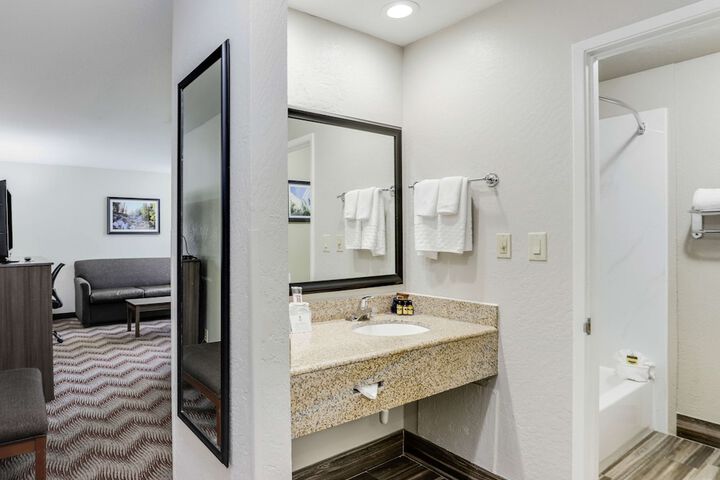 1 King Bed Pet Friendly (25 of 36)