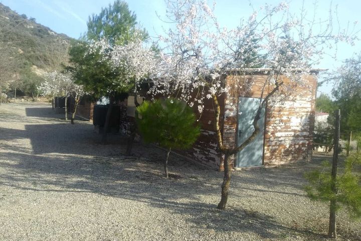 Property Grounds 35 of 52