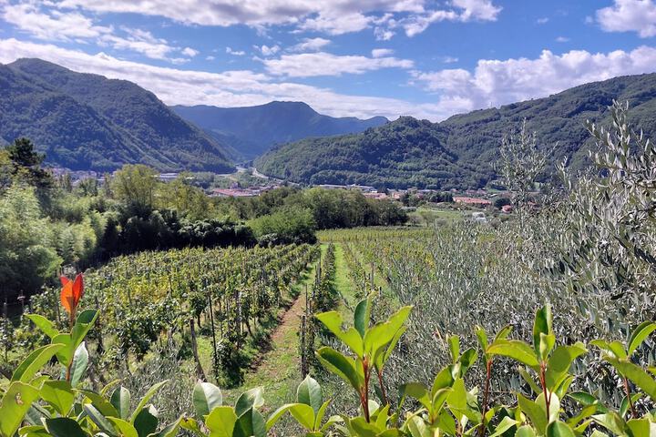 Agriturismo Tenuta La Fratta