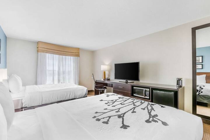 2 Queen Beds Mobility Accessible (6 of 20)