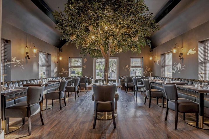 Dining 35 of 42