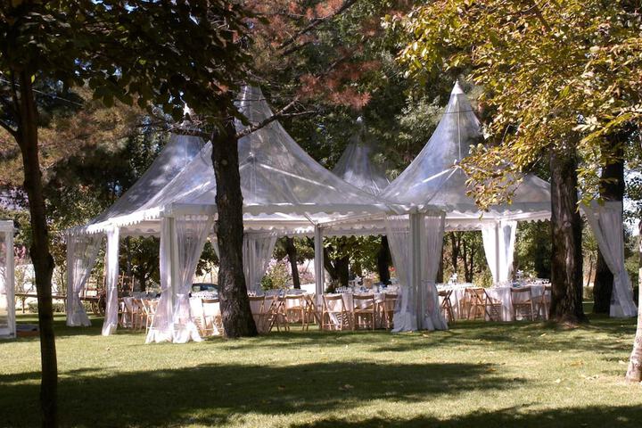 Wedding/Banquet 42 of 52