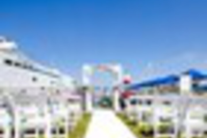Outdoor wedding area