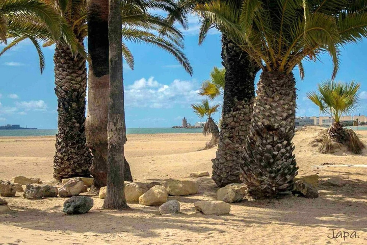 Beach 10 of 14