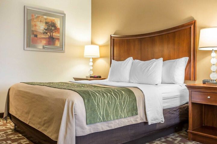 1 King Bed (7 of 12)
