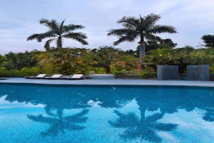 Pool 41 of 79