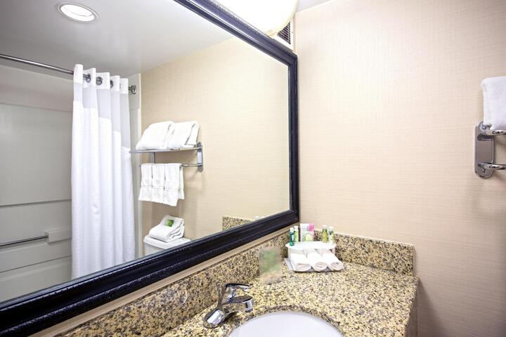 1 King Bed Standard Mobility Accessible Tub (1 of 13)