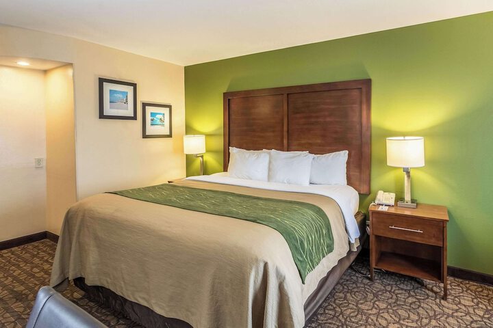 Standard | King Bed (9 of 13)