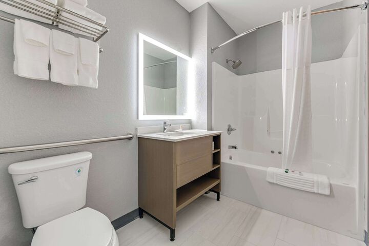 1 King Bed Accessible (8 of 12)