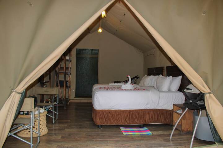 Room 6 of 26