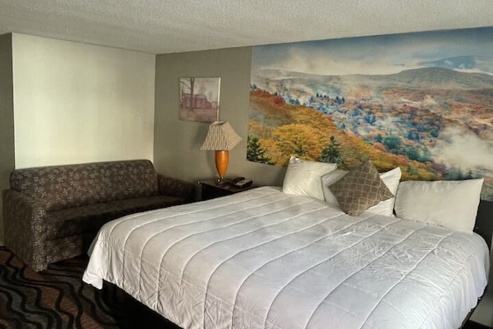 1 King Bed (27 of 30)