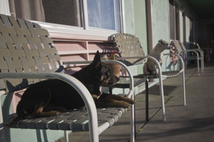 Terrace/Patio 20 of 22