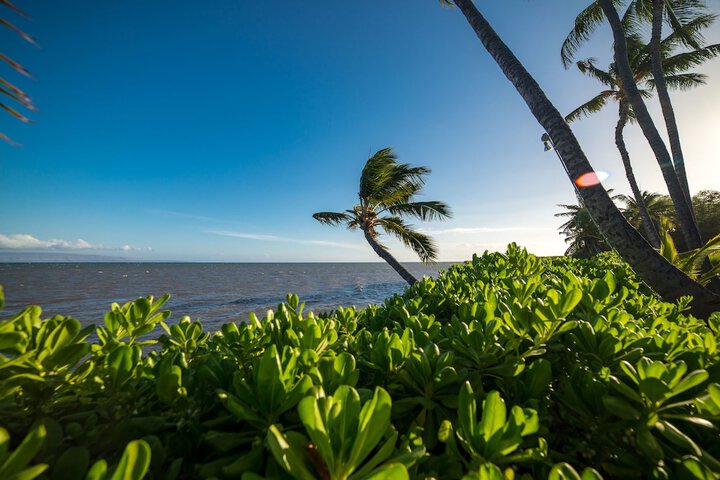 Hotel View 103 of 108