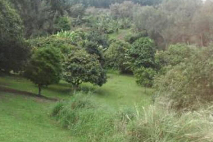 Property Grounds 51 of 60