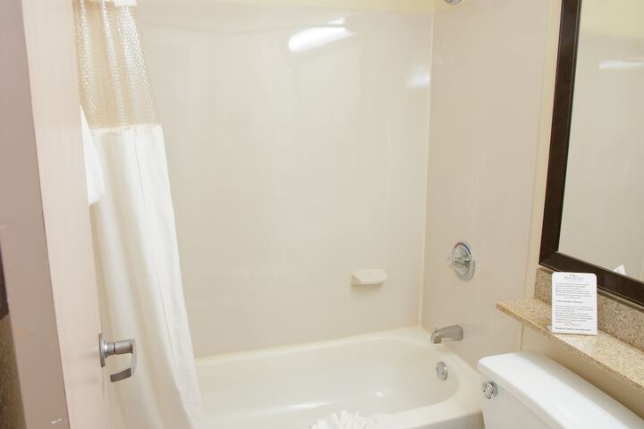 1 King Bed Accessible (2 of 18)