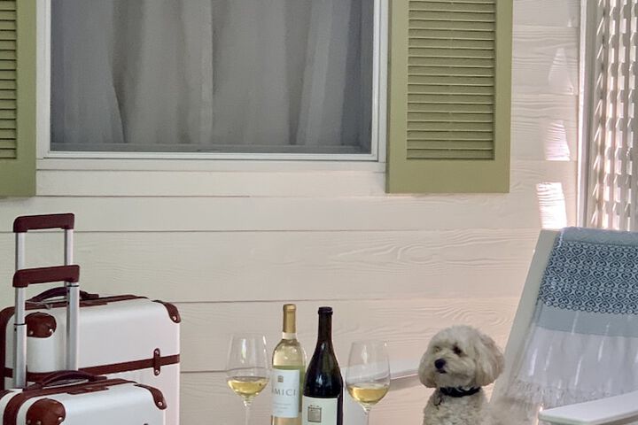 Pet-friendly