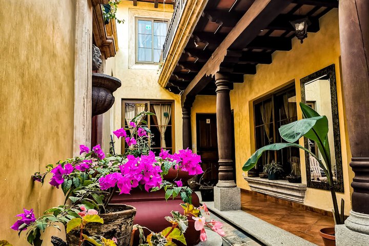 Central Bougainvillea