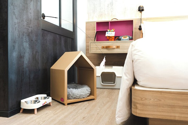 Pet Friendly 39 of 75