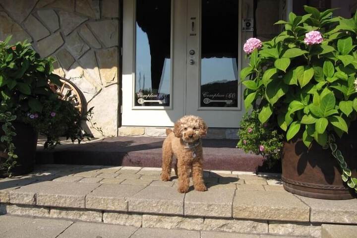 Property Grounds 39 of 55