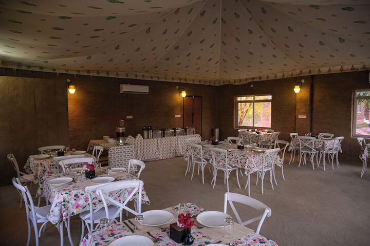 Dining 11 of 25