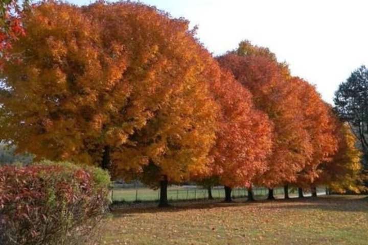 Hotel Interior 64 of 87