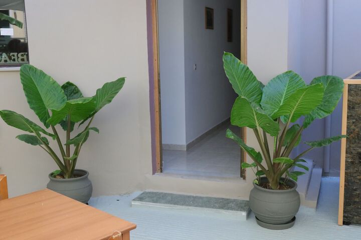 Terrace/Patio 43 of 46