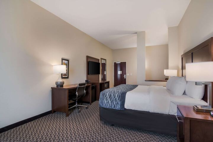 Standard | King Bed (3 of 28)