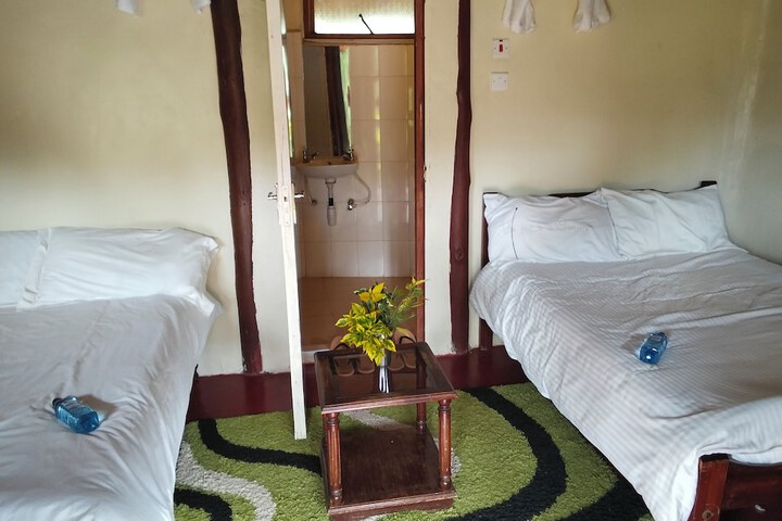 Room 4 of 19