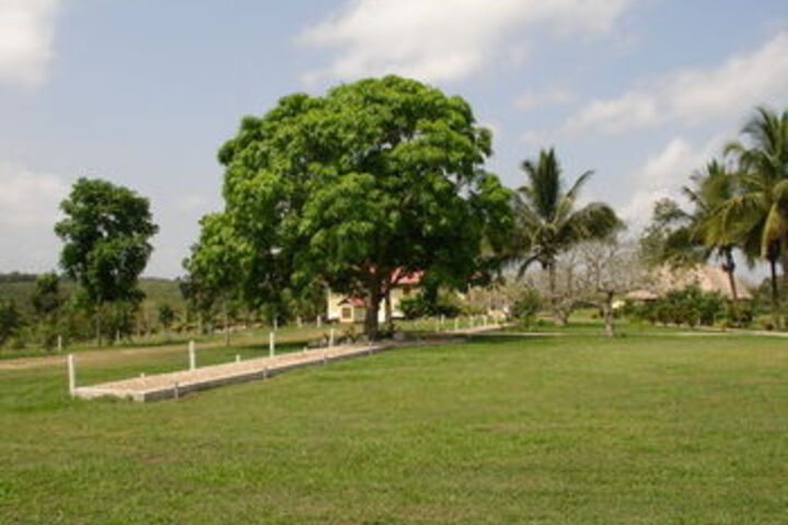 Property Grounds 14 of 24