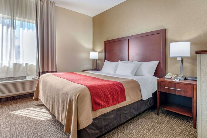 1 King Bed Suite (2 of 4)