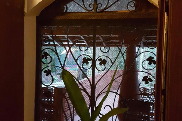Chikoo House