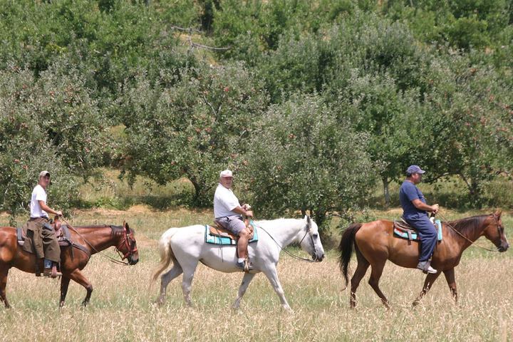 Horseback riding